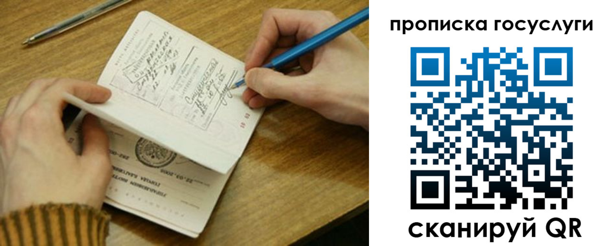 где прописаться в Ярославской области